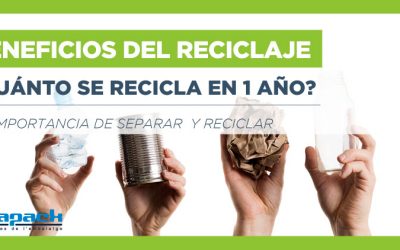 ¿Qué beneficios aporta el reciclaje?