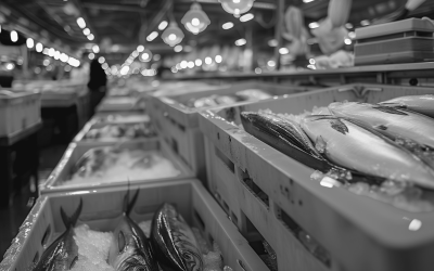 Caso de éxito: Automatización de procesos de embalaje en una empresa del sector alimentario