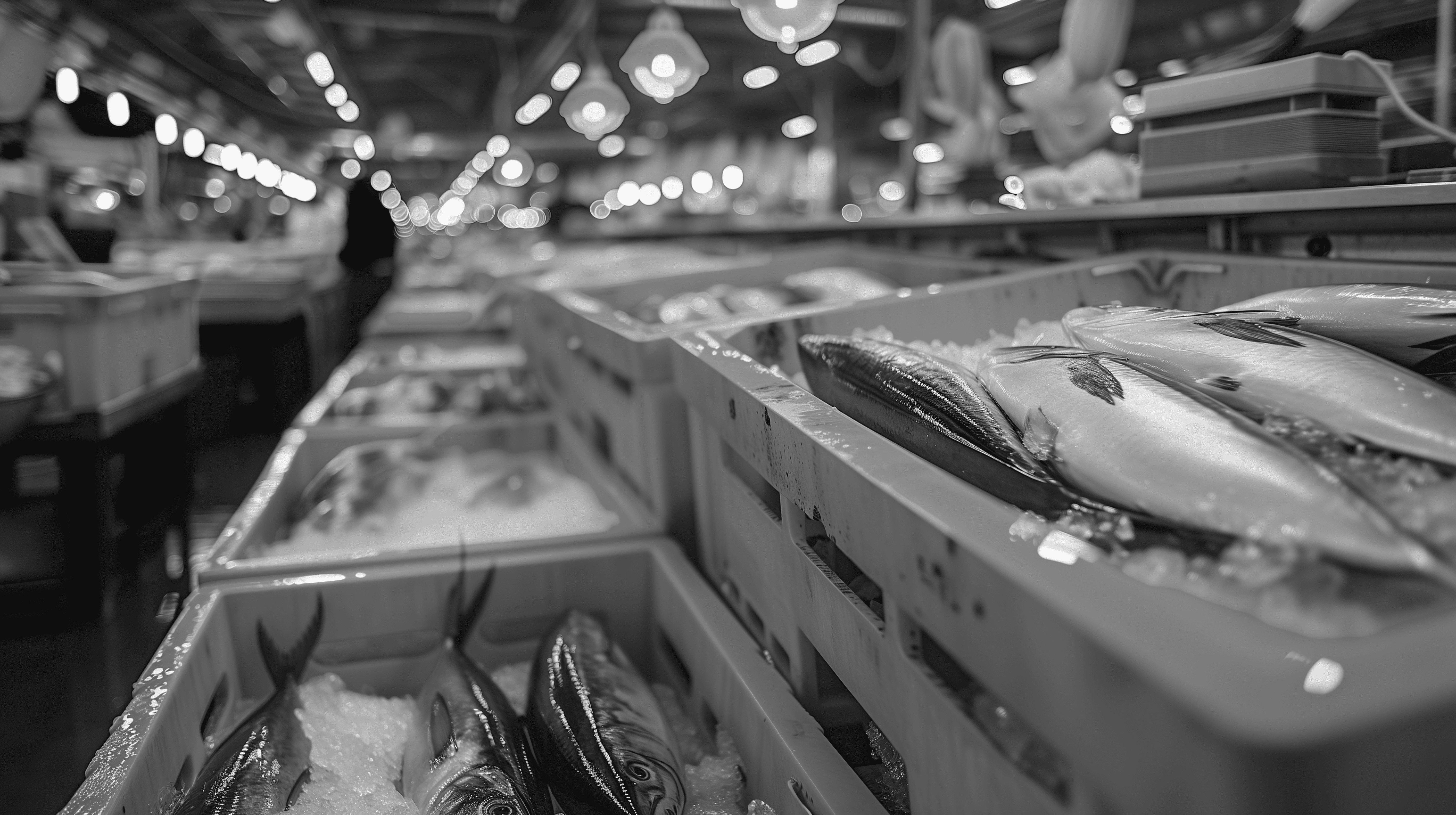 caso éxito alimentación con la automatización